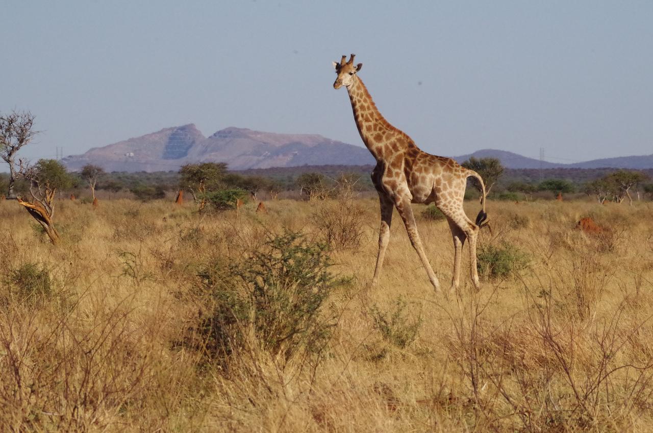 Frans Indongo Lodge オチワロンゴ エクステリア 写真